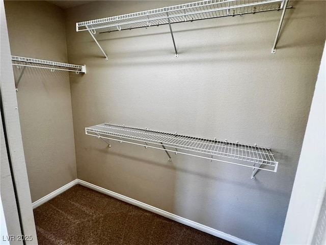 5361 Candlespice Way, Las Vegas, NV 89135 - spacious closet with carpet floors