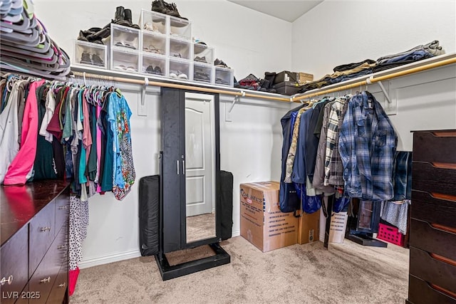 3405 Brook Song Ave, North Las Vegas, NV 89081 - spacious closet with carpet floors