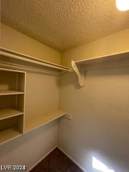 1745 Starridge Way, Las Vegas, NV 89142 - view of spacious closet
