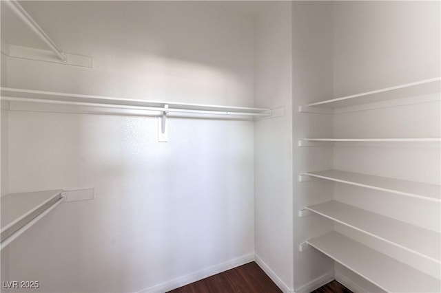 7977 Blue Brook Dr, Las Vegas, NV 89147 - walk in closet featuring dark wood-style flooring