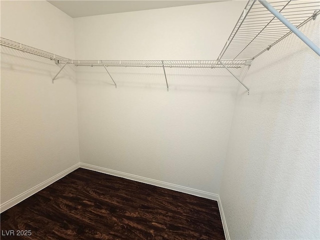 6824 Briarwood Bend Ave, Las Vegas, NV 89130 - walk in closet with dark wood finished floors
