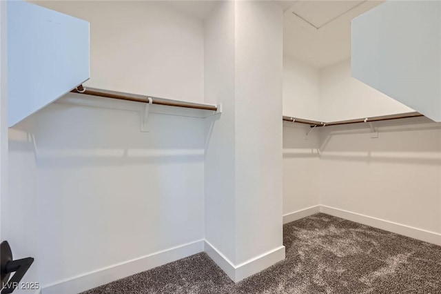 1213 Granite Falls Pl, North Las Vegas, NV 89084 - walk in closet featuring carpet flooring