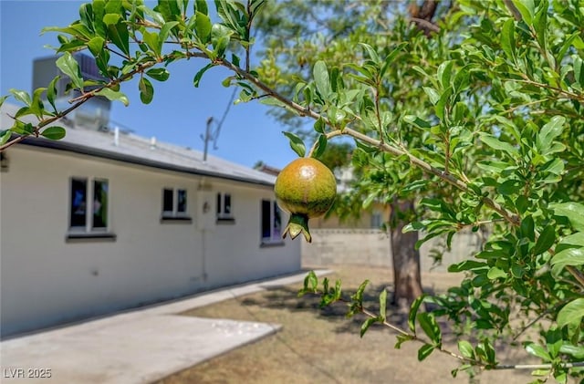 4424 Sunrise Ave, Las Vegas, NV 89110 - photo 48