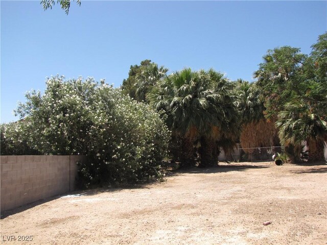 4950 Burnham Ave, Las Vegas, NV 89119 - view of yard