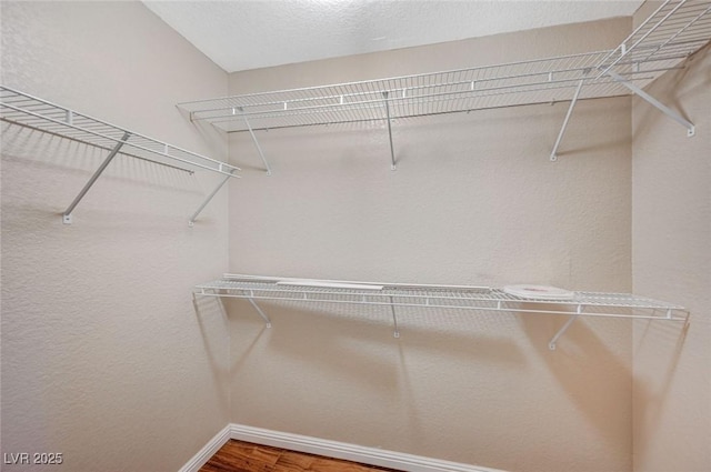 819 Sandsprings St, Henderson, NV 89011 - walk in closet with wood finished floors