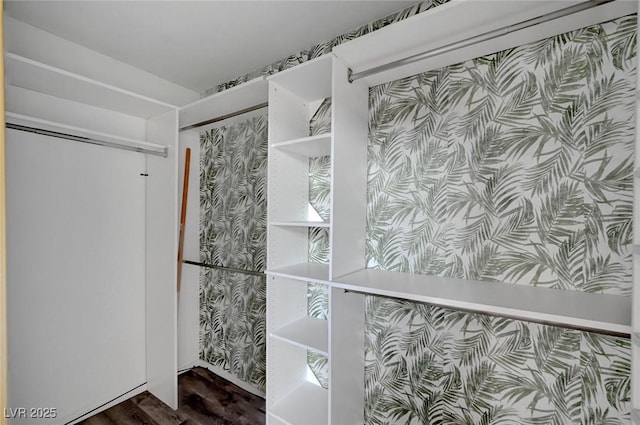 5823 Rose Sage St, North Las Vegas, NV 89031 - walk in closet with wood finished floors