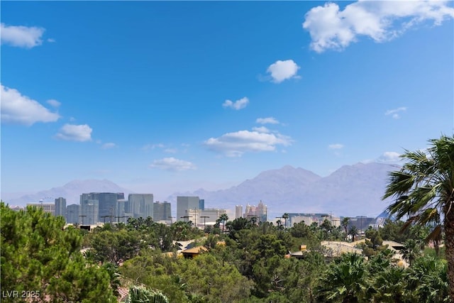 352 Angels Trace Ct, Las Vegas, NV 89148 - mountain view with city skyline