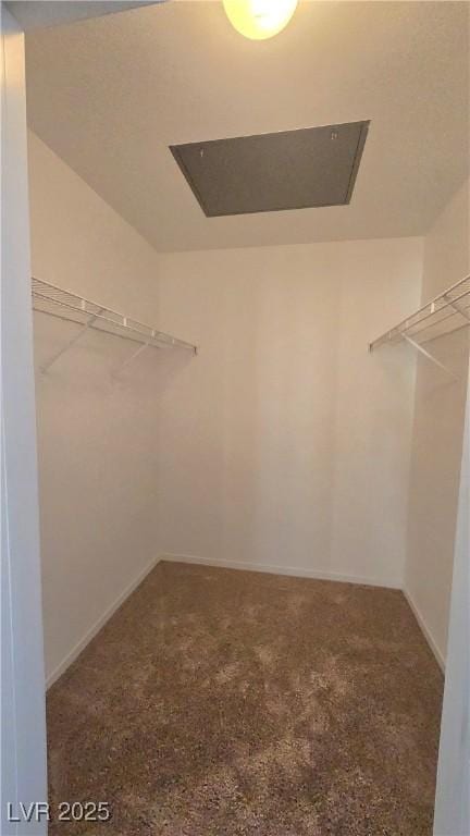 3425 E Russell Rd Unit 265, Las Vegas, NV 89120 - walk in closet featuring carpet floors