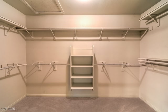 10300 Wellside Hill Ave, Las Vegas, NV 89145 - spacious closet with carpet flooring