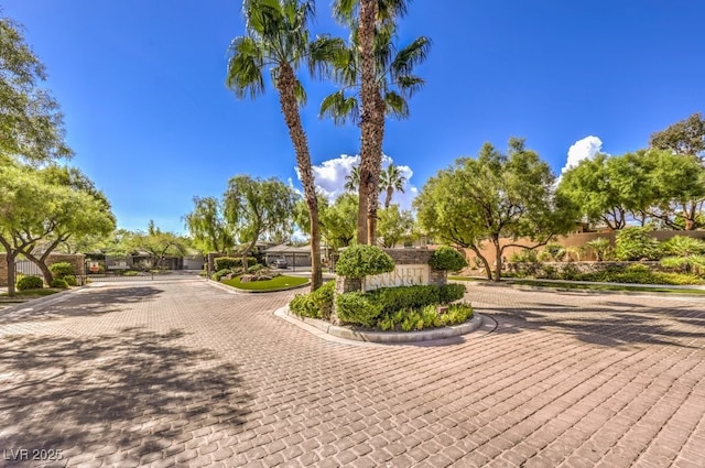10300 Wellside Hill Ave, Las Vegas, NV 89145 - view of property's community
