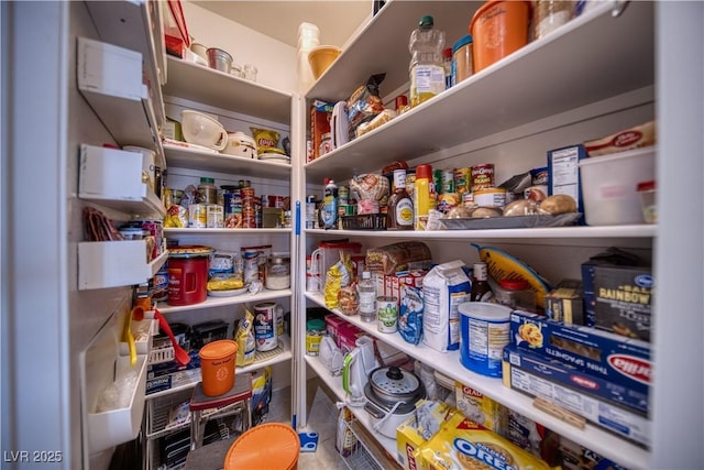 3251 S Parkridge Ave, Pahrump, NV 89048 - view of pantry