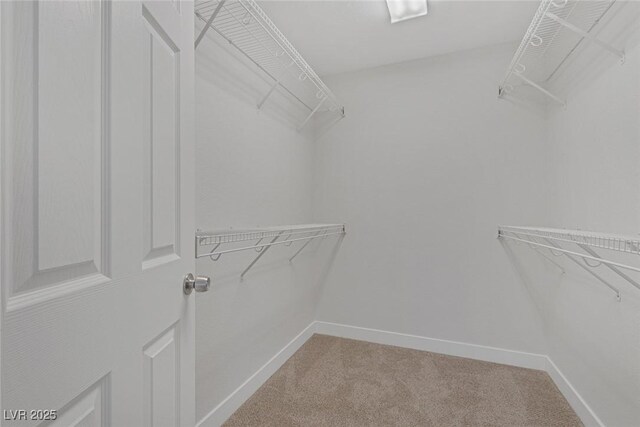 589 Brinkburn Point Ave, Las Vegas, NV 89178 - photo 23