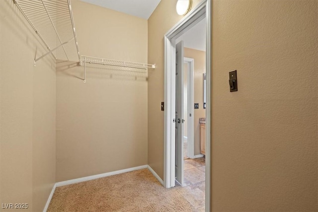 5855 Valley Dr Unit 2130, North Las Vegas, NV 89031 - walk in closet with light carpet