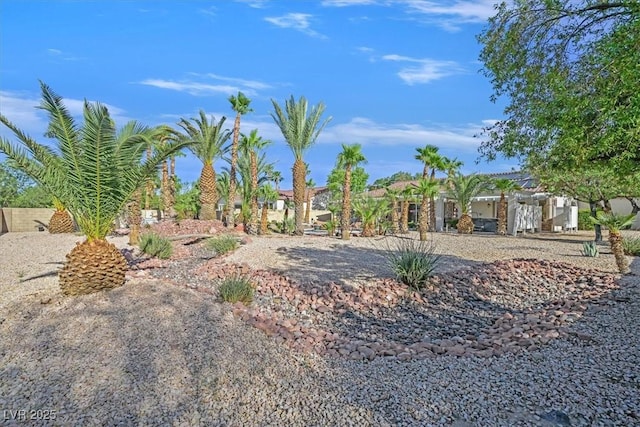 328 Hedgehope Dr, Las Vegas, NV 89183 - view of yard