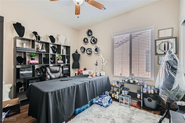 7717 Pine Warbler Way N, Las Vegas, NV 89084 - bedroom with wood finished floors, multiple windows, and a ceiling fan
