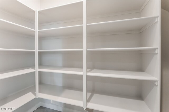 1801 Flycatch St, Las Vegas, NV 89138 - view of storage area