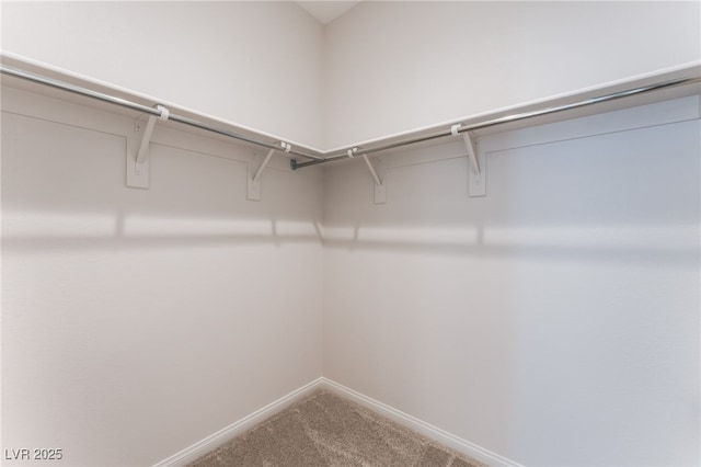 1801 Flycatch St, Las Vegas, NV 89138 - walk in closet with carpet
