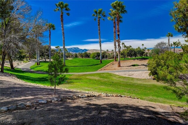 907 Gallery Course Dr, Las Vegas, NV 89148 - photo 61
