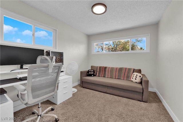 3509 Navajo Way, Las Vegas, NV 89108 - office space with carpet floors and a textured ceiling