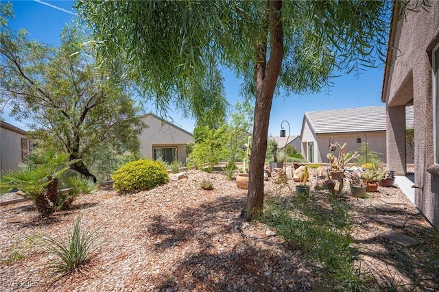 2545 Divine Sky Dr, Henderson, NV 89044 - view of yard