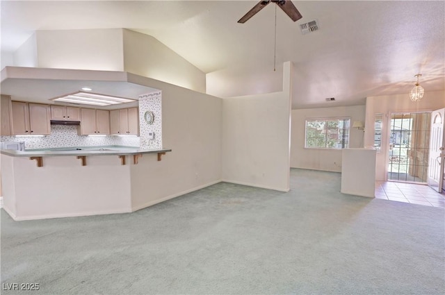 710 Tomahawk Ct, Pahrump, NV 89060 - photo 14