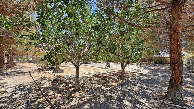 710 Tomahawk Ct, Pahrump, NV 89060 - photo 59
