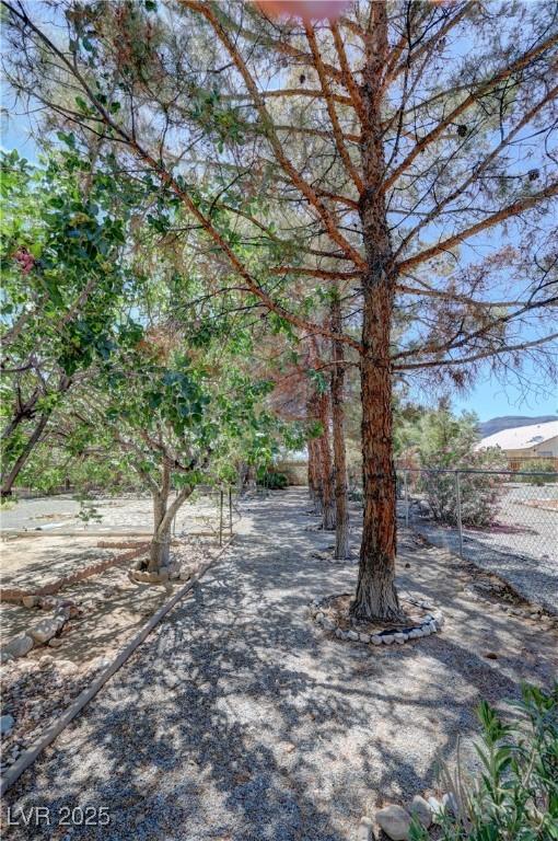 710 Tomahawk Ct, Pahrump, NV 89060 - photo 60