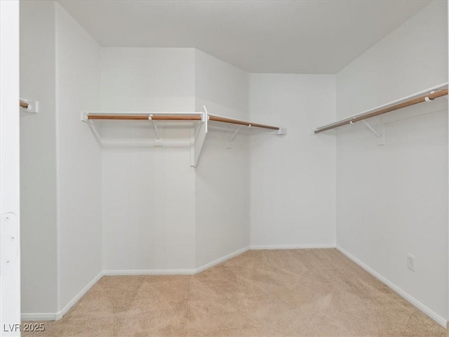 4905 Apache Valley Ave, Las Vegas, NV 89131 - walk in closet with carpet