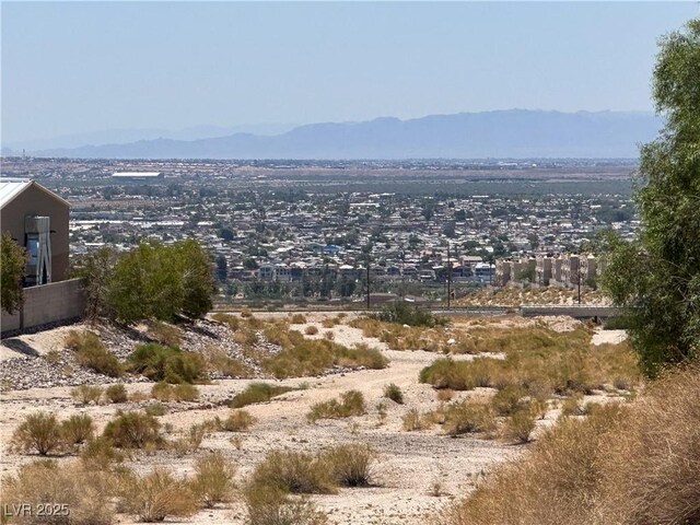 2772 Brinkley Manor St, Laughlin, NV 89029 - photo 4