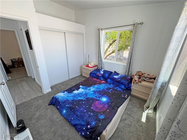 2530 Commercial Dr, Pahrump, NV 89048 - bedroom with a closet and carpet floors
