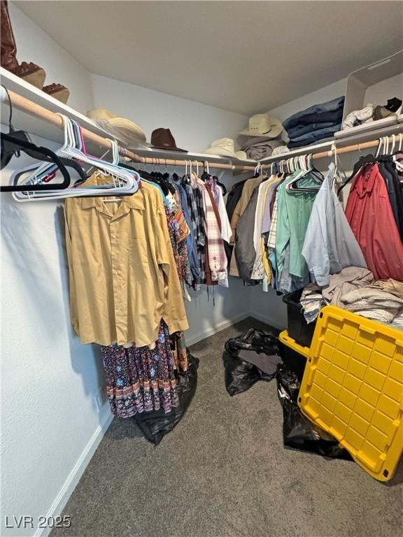 2530 Commercial Dr, Pahrump, NV 89048 - spacious closet with carpet