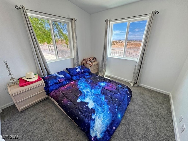 2530 Commercial Dr, Pahrump, NV 89048 - carpeted bedroom featuring baseboards
