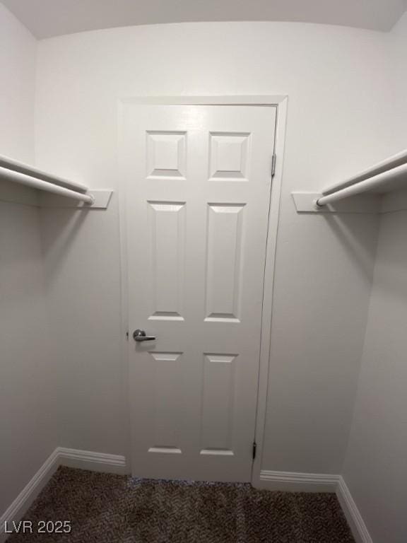6800 E Lake Mead Blvd Unit 2024, Las Vegas, NV 89156 - walk in closet featuring carpet flooring