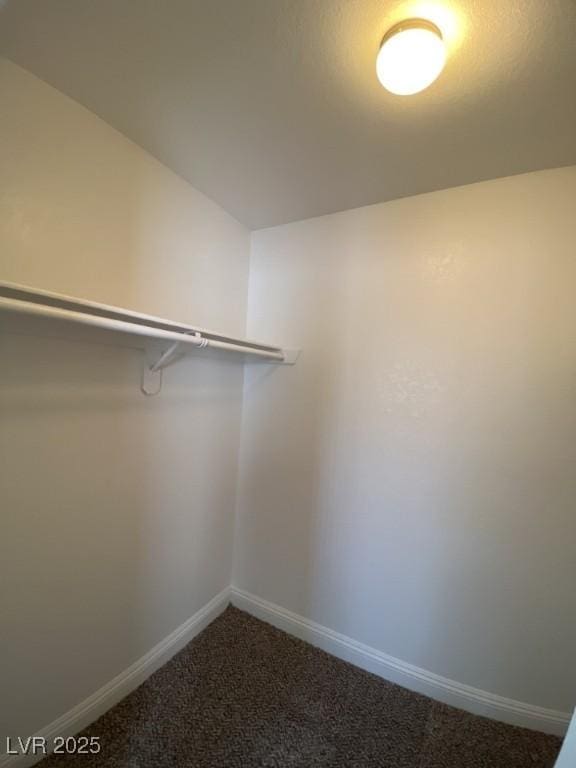 6800 E Lake Mead Blvd Unit 2024, Las Vegas, NV 89156 - walk in closet with dark carpet
