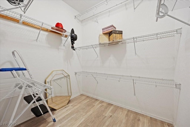 2117 Bay Thrush Way N, Las Vegas, NV 89084 - spacious closet with light wood-style floors