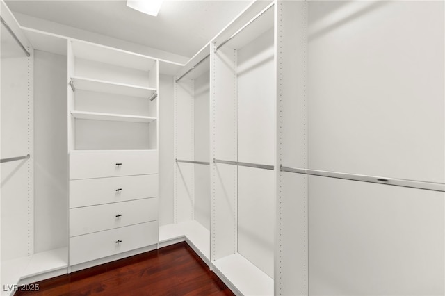 11649 Royal Derwent Dr, Las Vegas, NV 89138 - walk in closet with dark wood-style floors