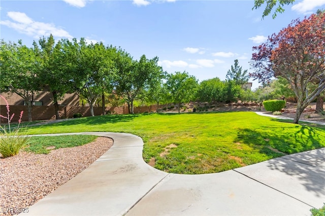 11649 Royal Derwent Dr, Las Vegas, NV 89138 - view of yard