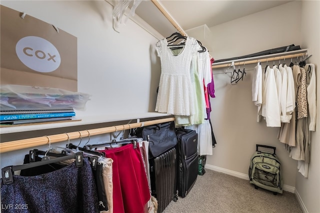 151 Duckhook Ave, Las Vegas, NV 89148 - walk in closet featuring carpet floors