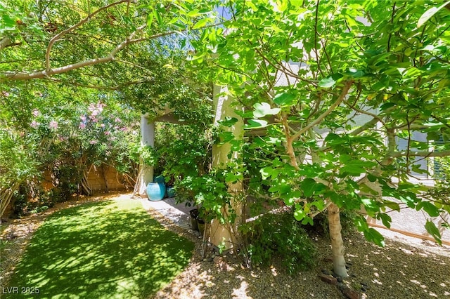 151 Duckhook Ave, Las Vegas, NV 89148 - view of yard