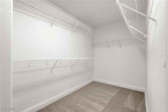 4036 W Bird Man Ln, North Las Vegas, NV 89084 - spacious closet featuring carpet flooring