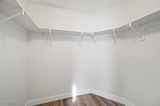 905 Harp Way N, Las Vegas, NV 89032 - walk in closet with wood finished floors