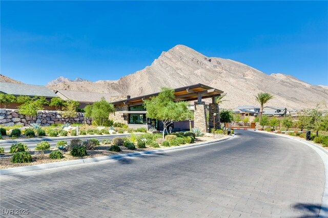 10890 Red Yucca Dr, Las Vegas, NV 89138 - photo 39