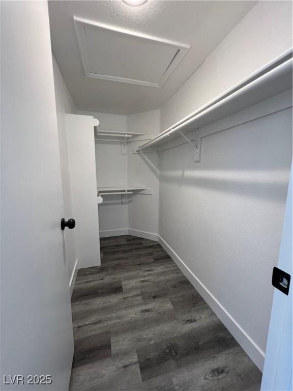 3238 Canyon Terrace Dr, Laughlin, NV 89029 - walk in closet featuring dark wood-style flooring