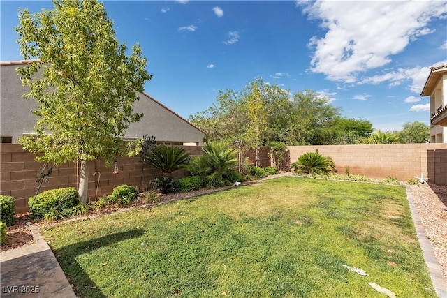 7854 Brianna Cheerful Ave, Las Vegas, NV 89178 - view of fenced backyard
