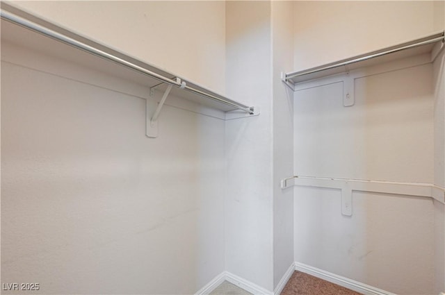 8204 Turbys Treehouse Pl, Las Vegas, NV 89131 - walk in closet with carpet