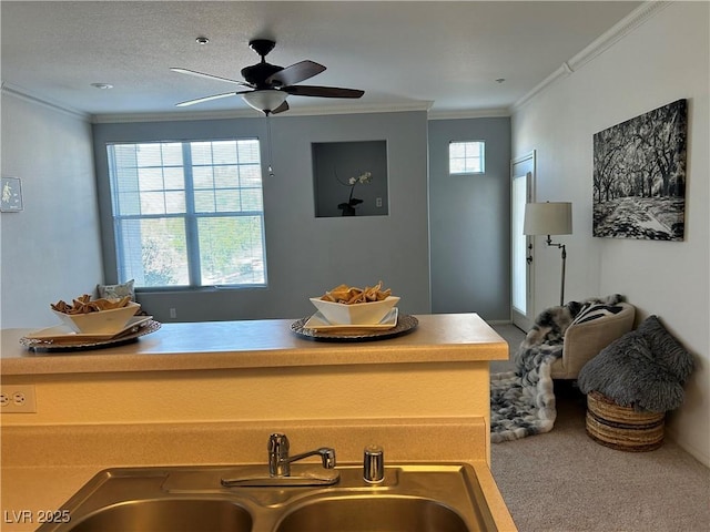 5855 Valley Dr Unit 2092, North Las Vegas, NV 89031 - kitchen featuring ceiling fan, ornamental molding, and carpet