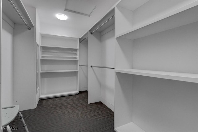 4575 Dean Martin Dr Unit 2607, Las Vegas, NV 89103 - spacious closet with attic access and dark colored carpet