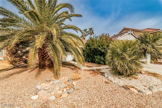 9514 Teton Vista Ave, Las Vegas, NV 89117 - view of yard