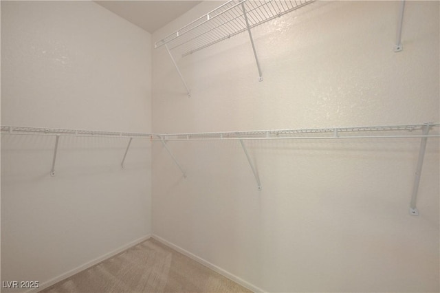 2808 Crown Ridge Dr, Las Vegas, NV 89134 - spacious closet featuring light carpet