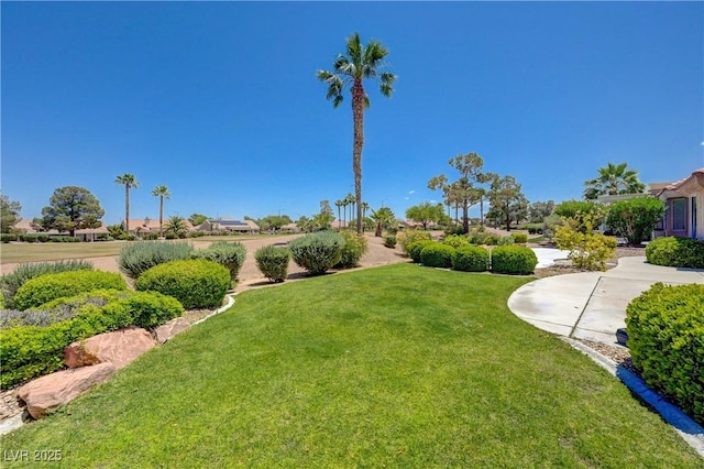 2808 Crown Ridge Dr, Las Vegas, NV 89134 - view of grassy yard